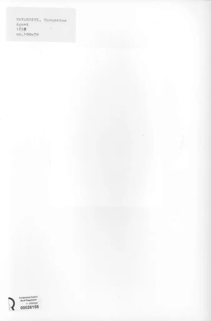 Anonimo, Anonimo , retro