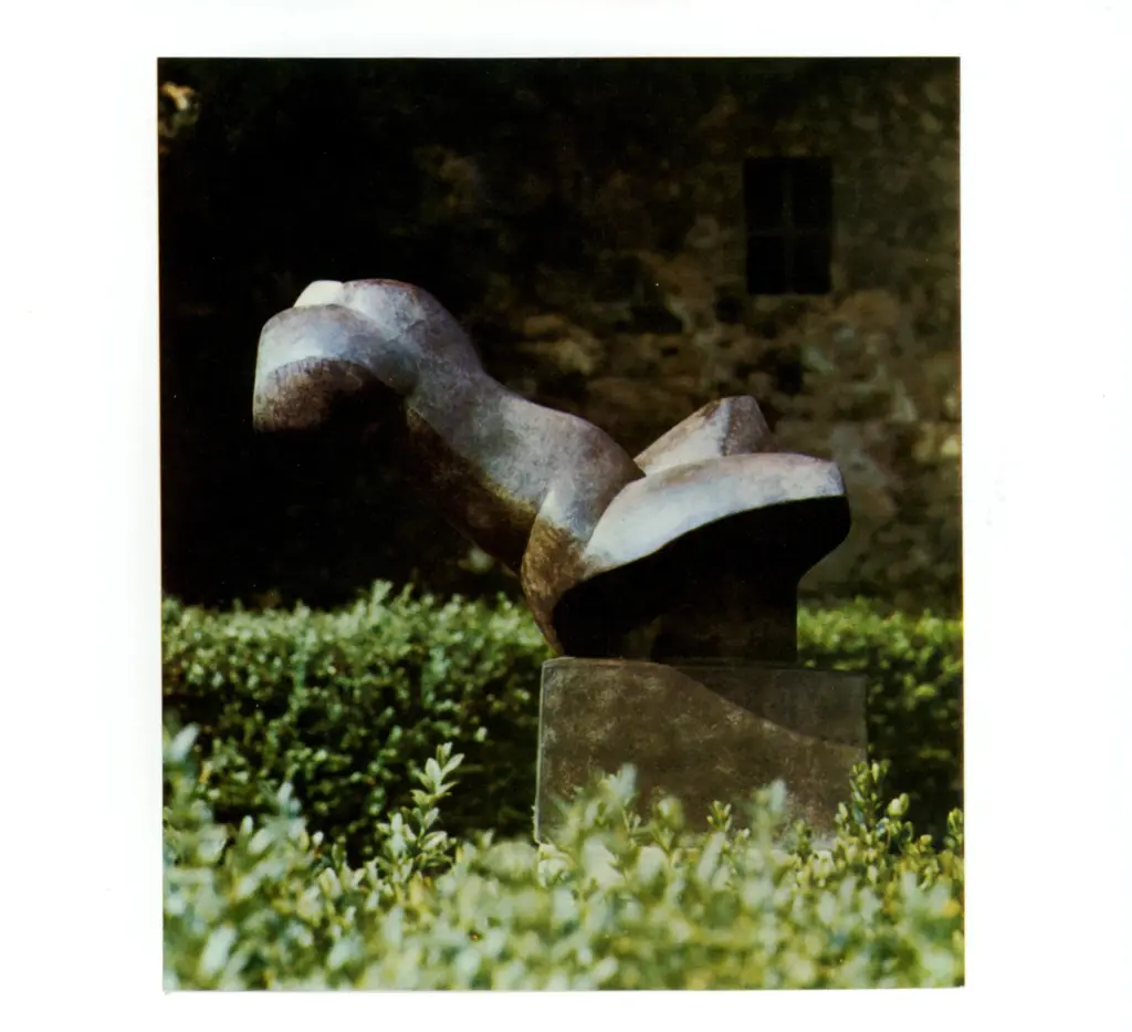 Anonimo, Anonimo , fronte