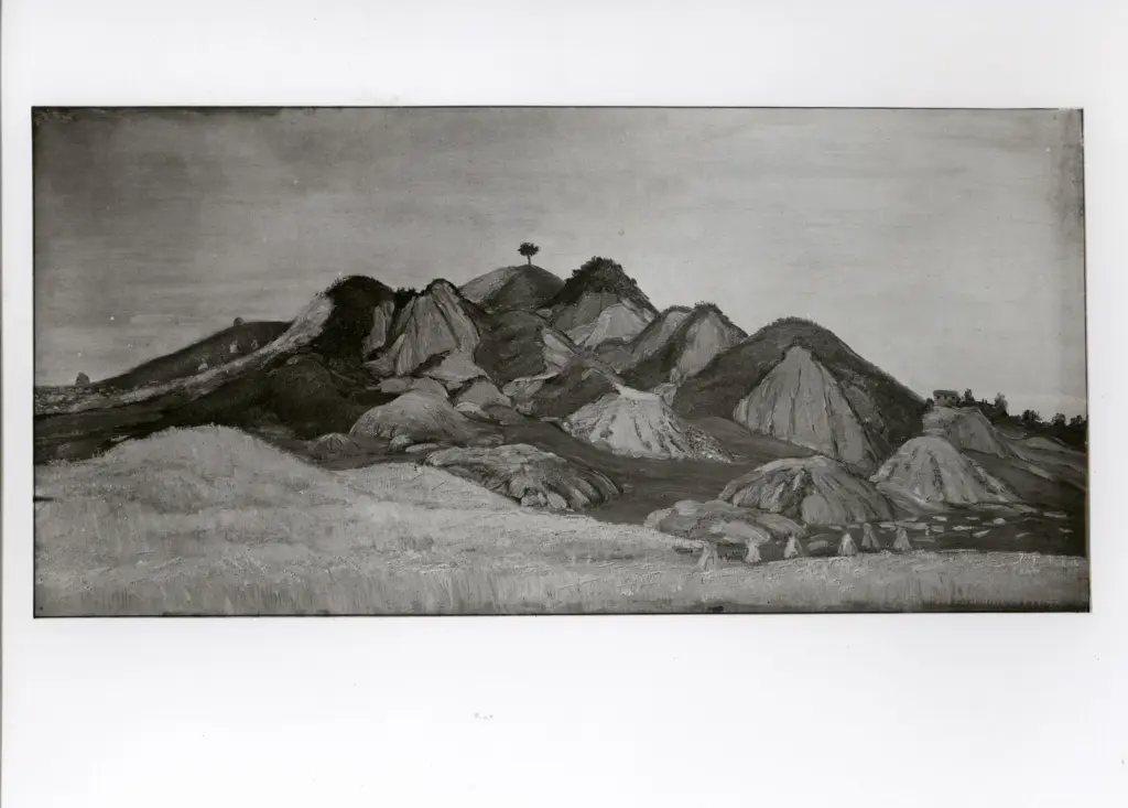 Anonimo , Neri, Dario - sec. XX - Le crete de Pian delle Cortine in estate , fronte