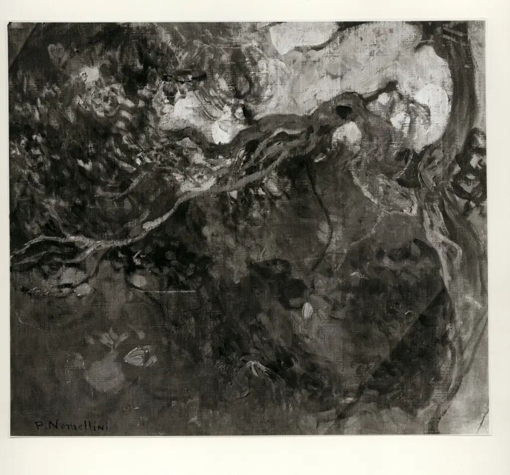 Anonimo ; Anonimo , Nomellini, Plinio - sec. XX -