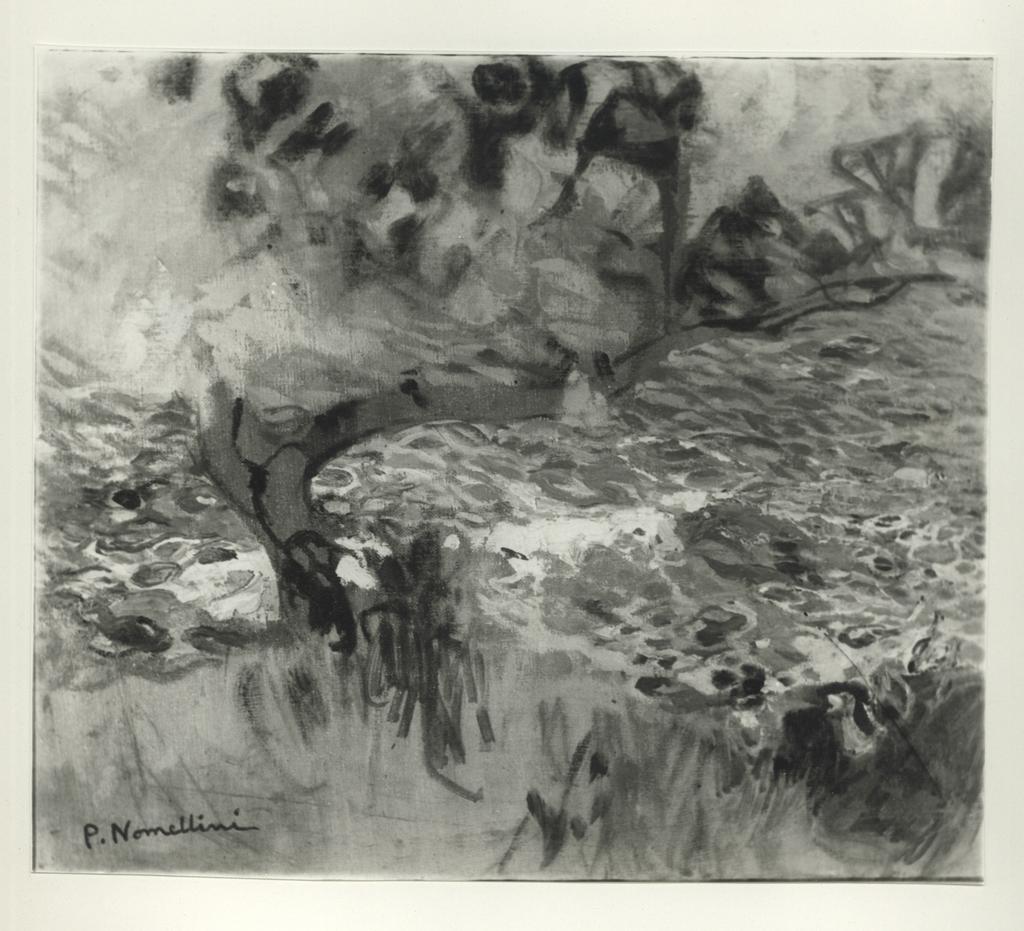 Anonimo , Nomellini, Plinio - - , fronte
