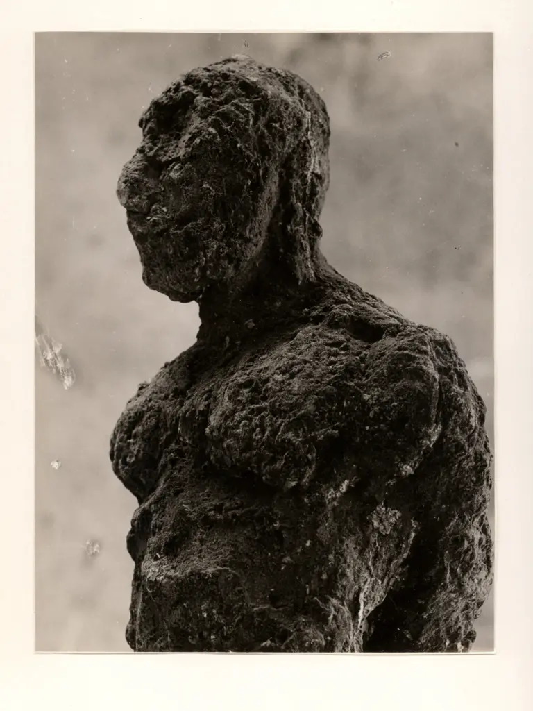 Paganin, Giovanni , Testa di uomo