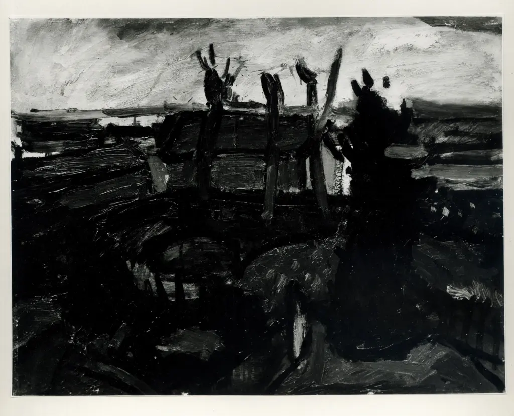 Fotografia Ferruzzi , fronte