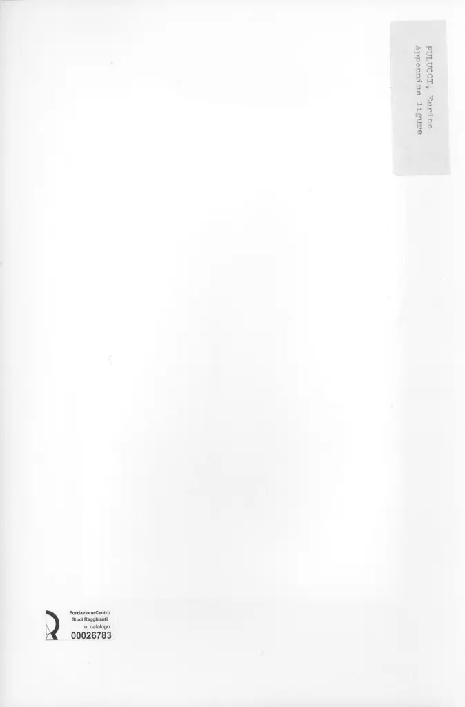 Anonimo, Anonimo , retro