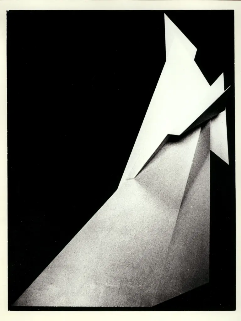 Perizi, Nino , Struttura bianca