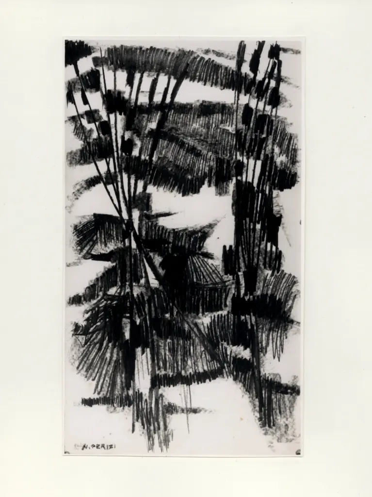 Anonimo, Anonimo , fronte