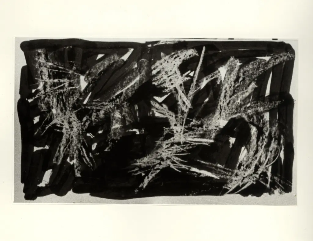 Anonimo, Anonimo , fronte