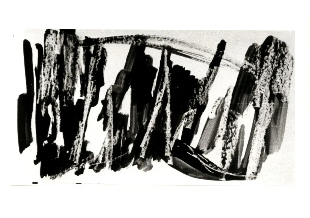 Anonimo, Anonimo , fronte