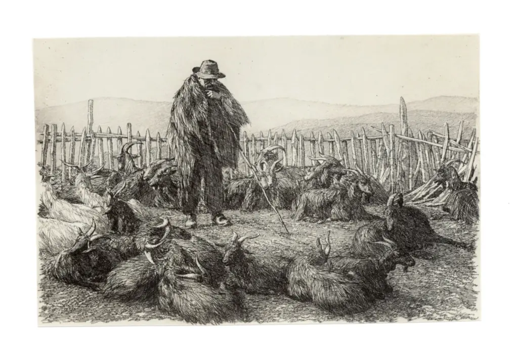 Anonimo, Anonimo , fronte