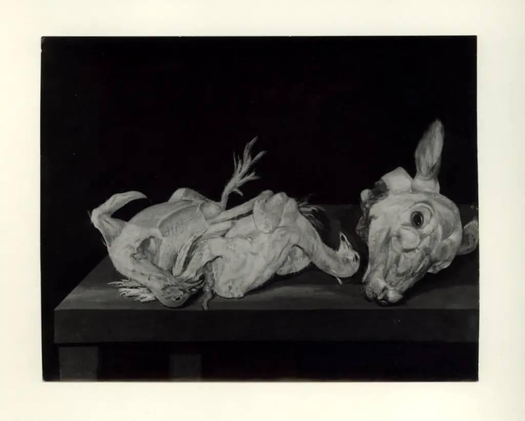 Anonimo , Piani, Pietro - - , fronte