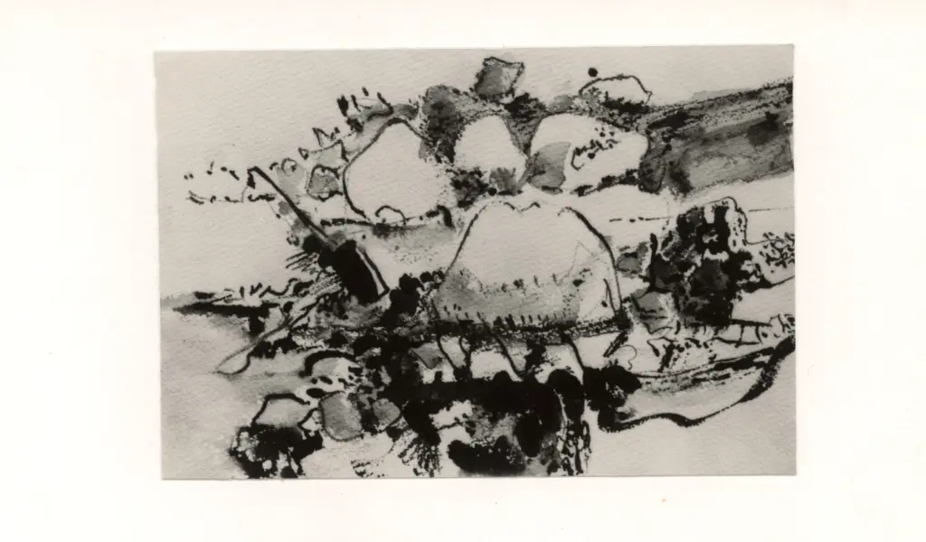 Anonimo, Anonimo , fronte