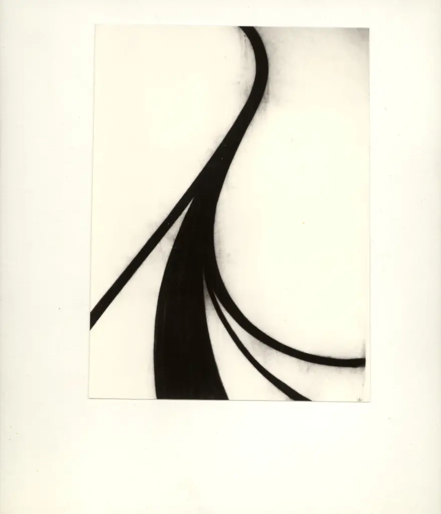 Anonimo, Anonimo , fronte