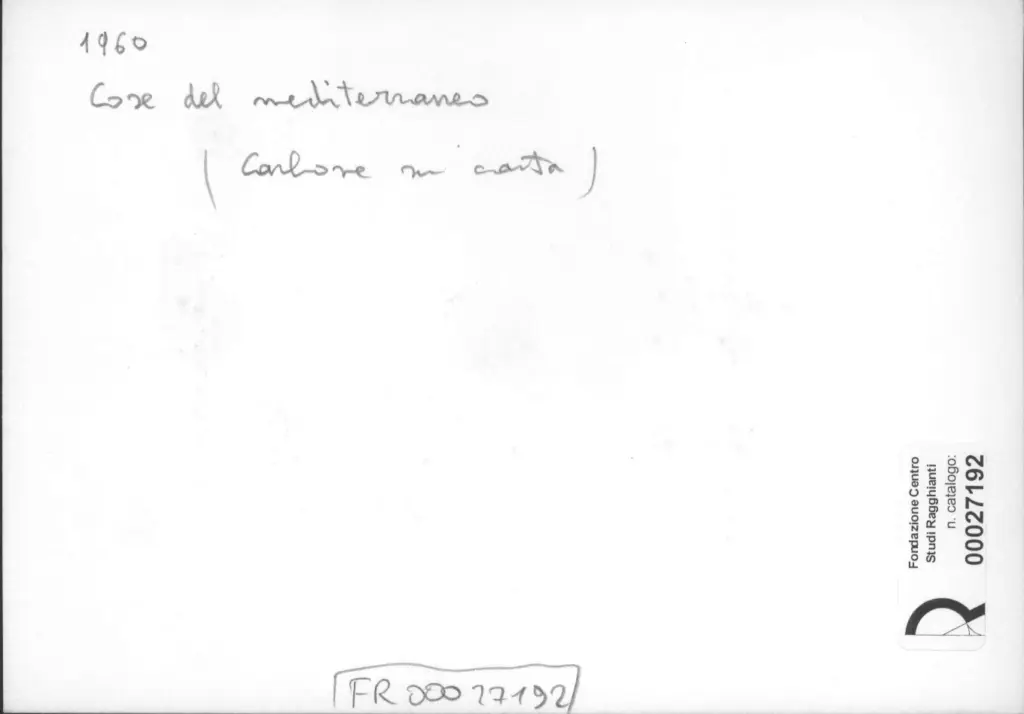 Anonimo, Anonimo , retro