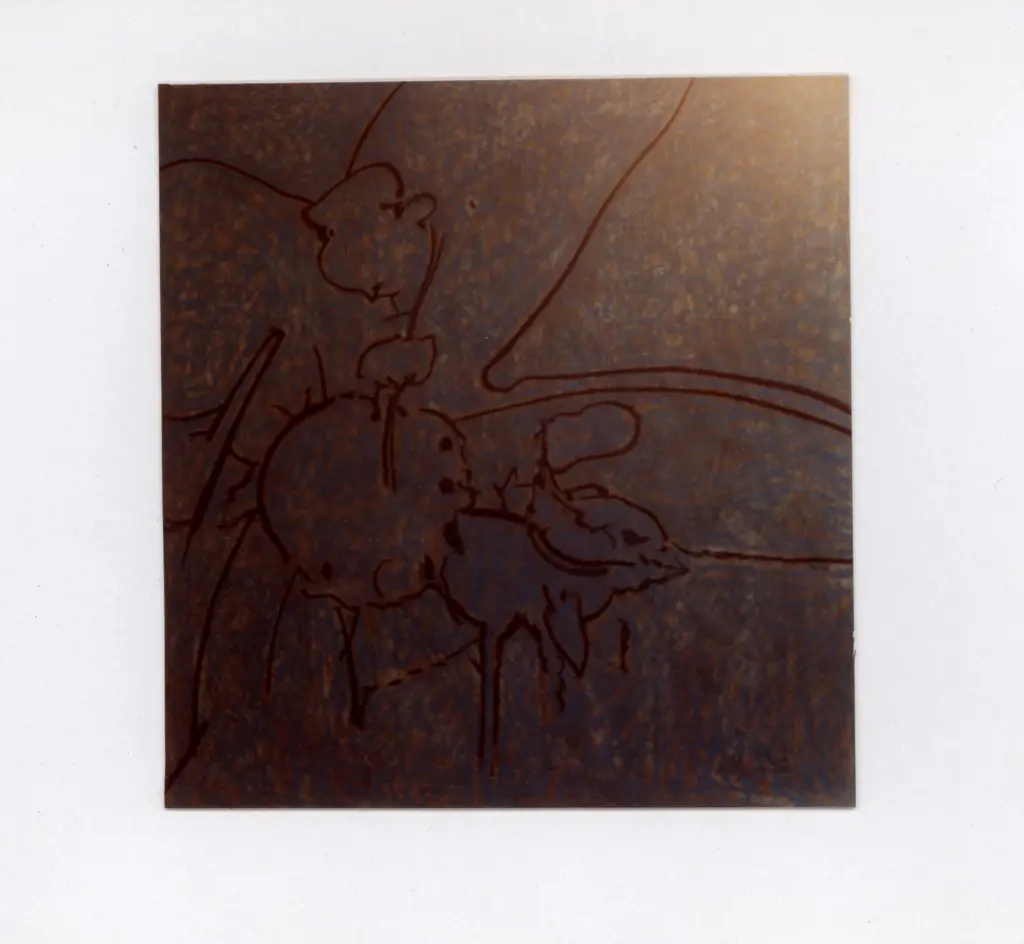 Anonimo, Anonimo , fronte