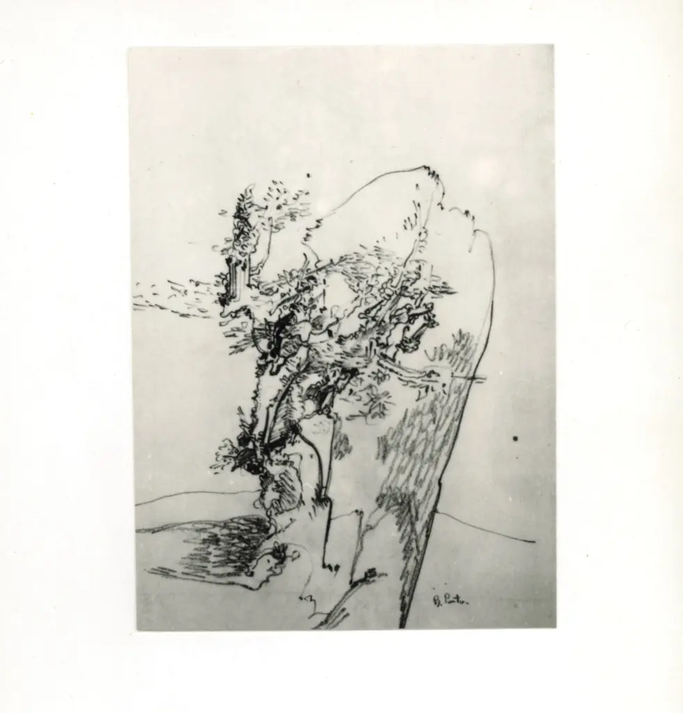 Anonimo, Anonimo , fronte