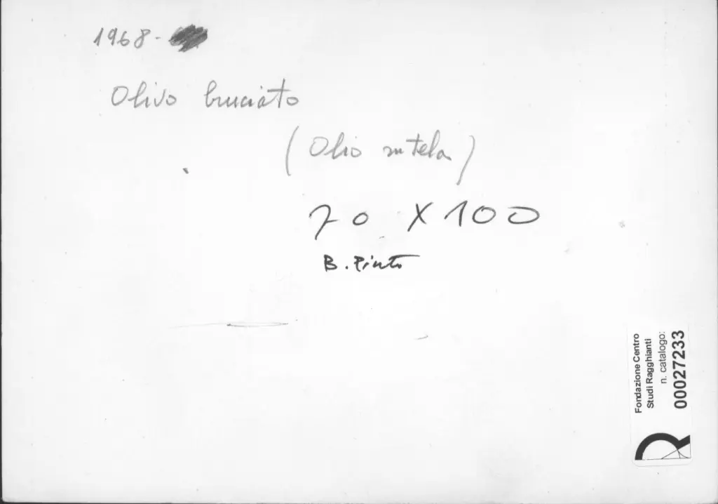 Anonimo, Anonimo , retro