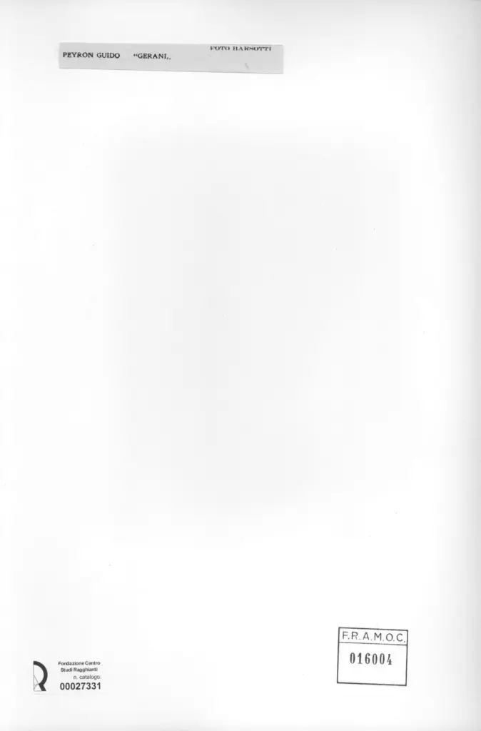 Foto Barsotti , retro