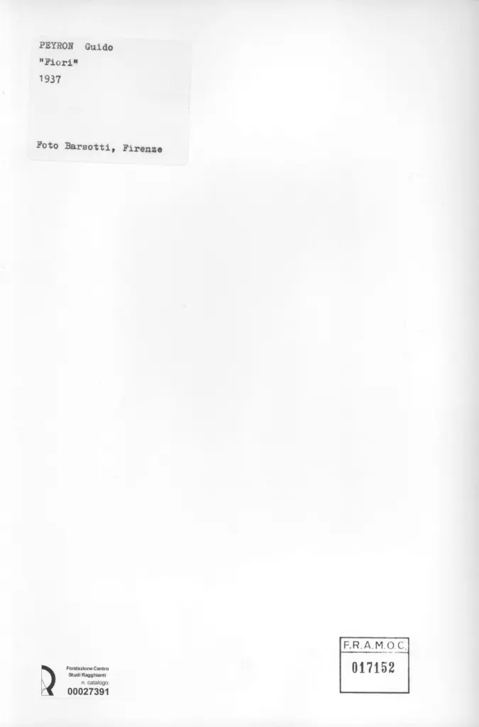 Foto Barsotti , Peyron, Guido - sec. XX - Fiori , retro