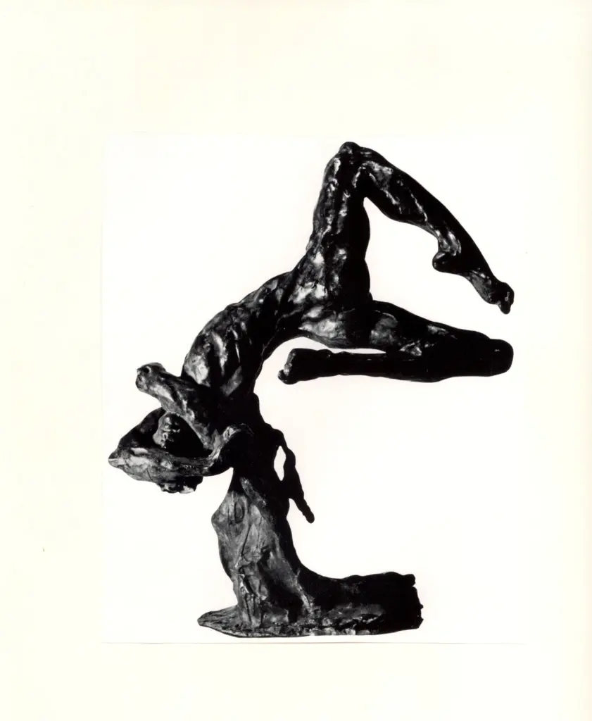 Anonimo , Plazzotta, Enzo - sec. XX - La caduta , fronte