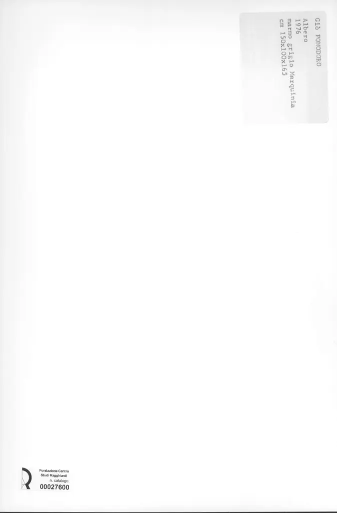 Anonimo, Anonimo , retro