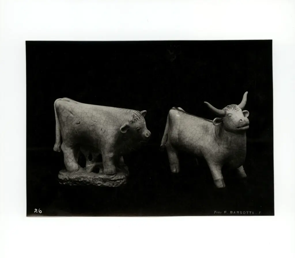 Foto Barsotti , fronte