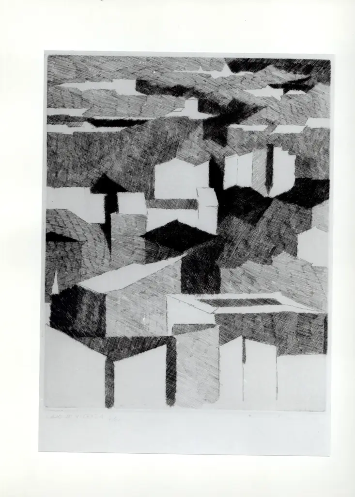 Pozza, Neri , Case di Vicenza