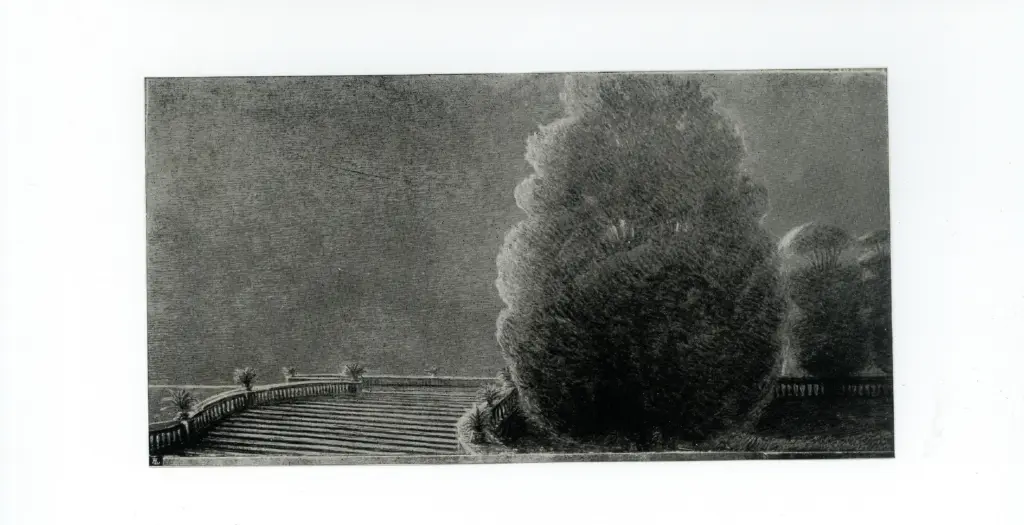 Anonimo, Anonimo , fronte