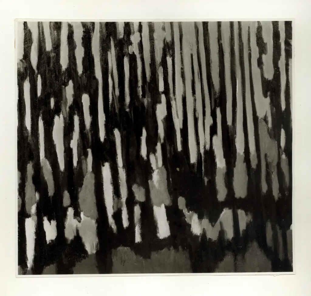 Anonimo, Anonimo , fronte