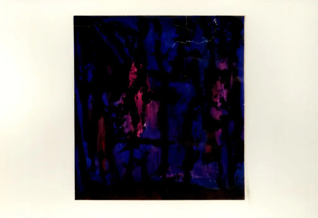 Anonimo , Pulga, Bruno - sec. XX - Notturno , fronte