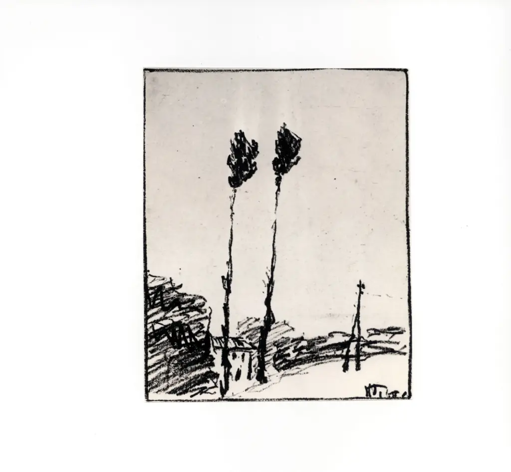 Anonimo, Anonimo , fronte