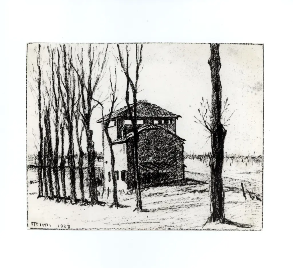 Anonimo, Anonimo , fronte