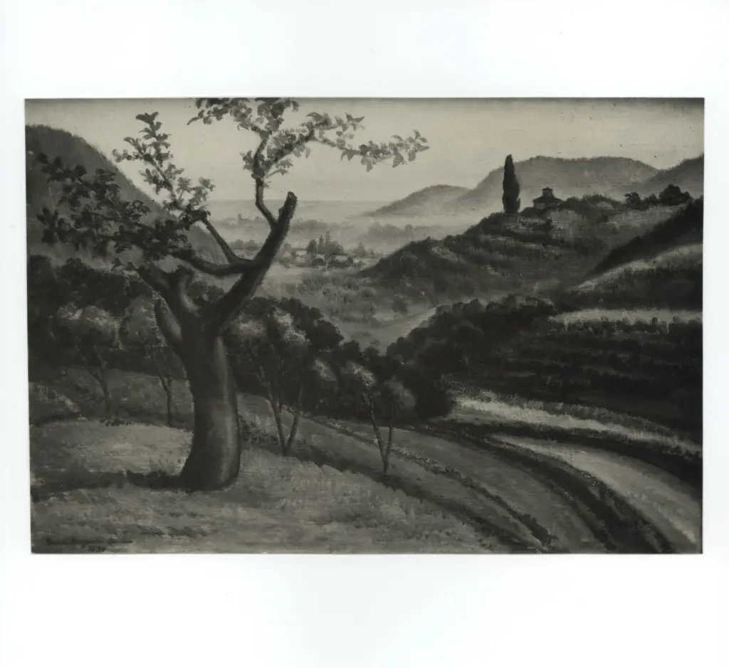 Anonimo , Quilici Buzzacchi, Mim&igrave; - sec. XX - Il melo