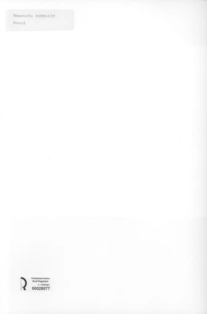 Anonimo, Anonimo , retro