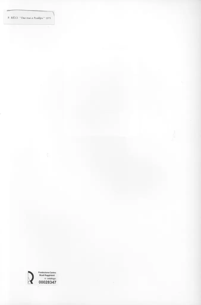 Anonimo , Ricci, Paolo - sec. XX - Una rosa a Posillopo , retro