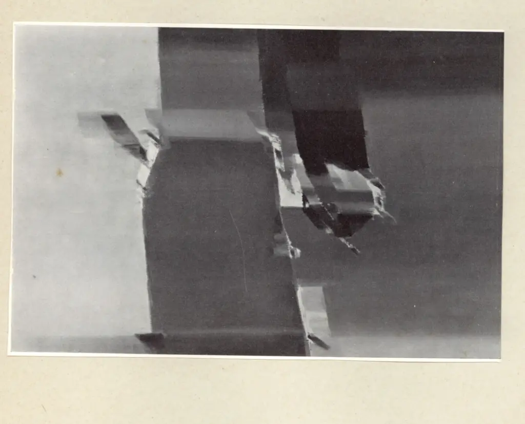 Anonimo, Anonimo , fronte