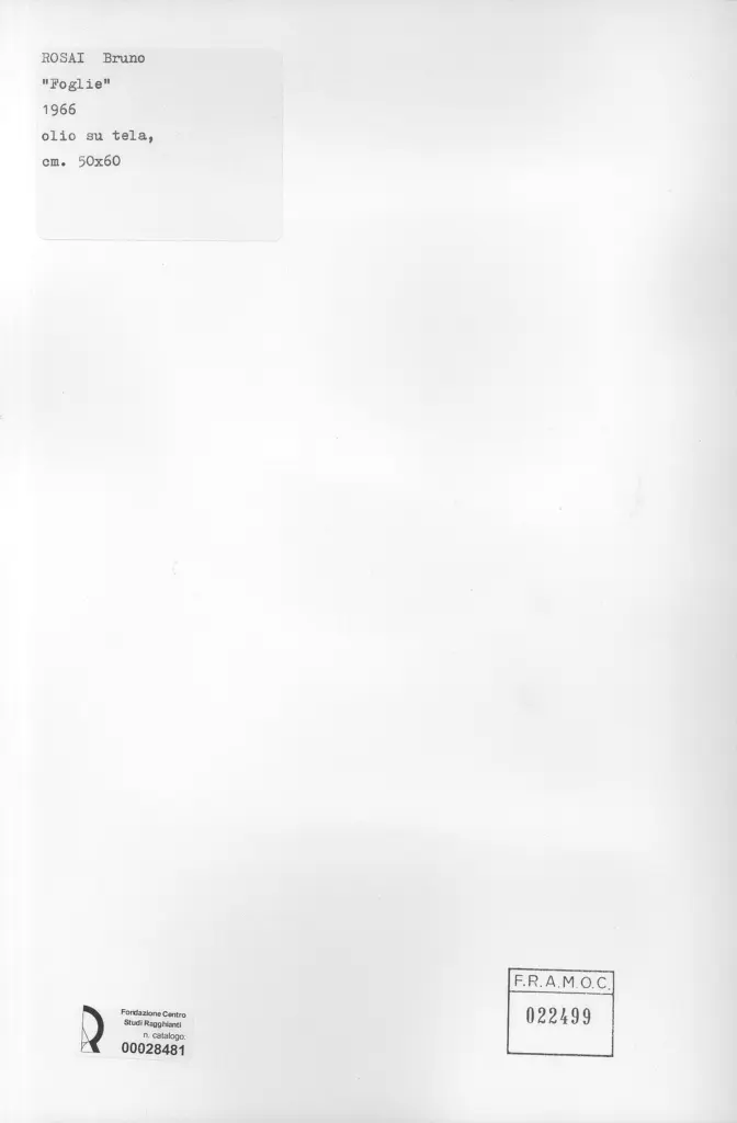 Anonimo, Anonimo , retro