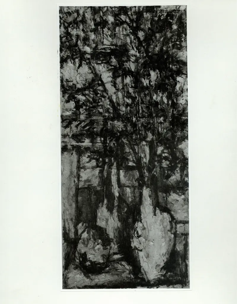 Anonimo, Anonimo , fronte