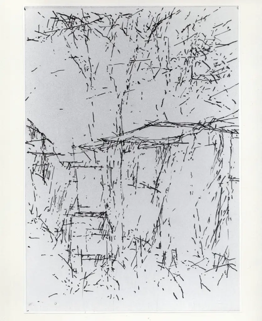 Anonimo, Anonimo , fronte