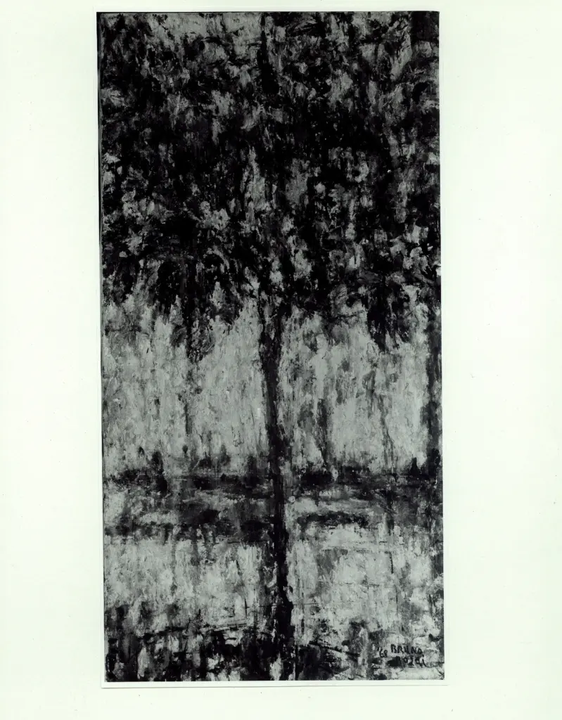 Anonimo, Anonimo , fronte