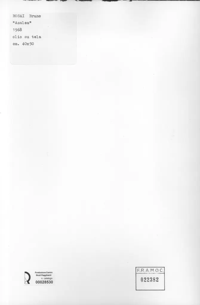 Anonimo, Anonimo , retro