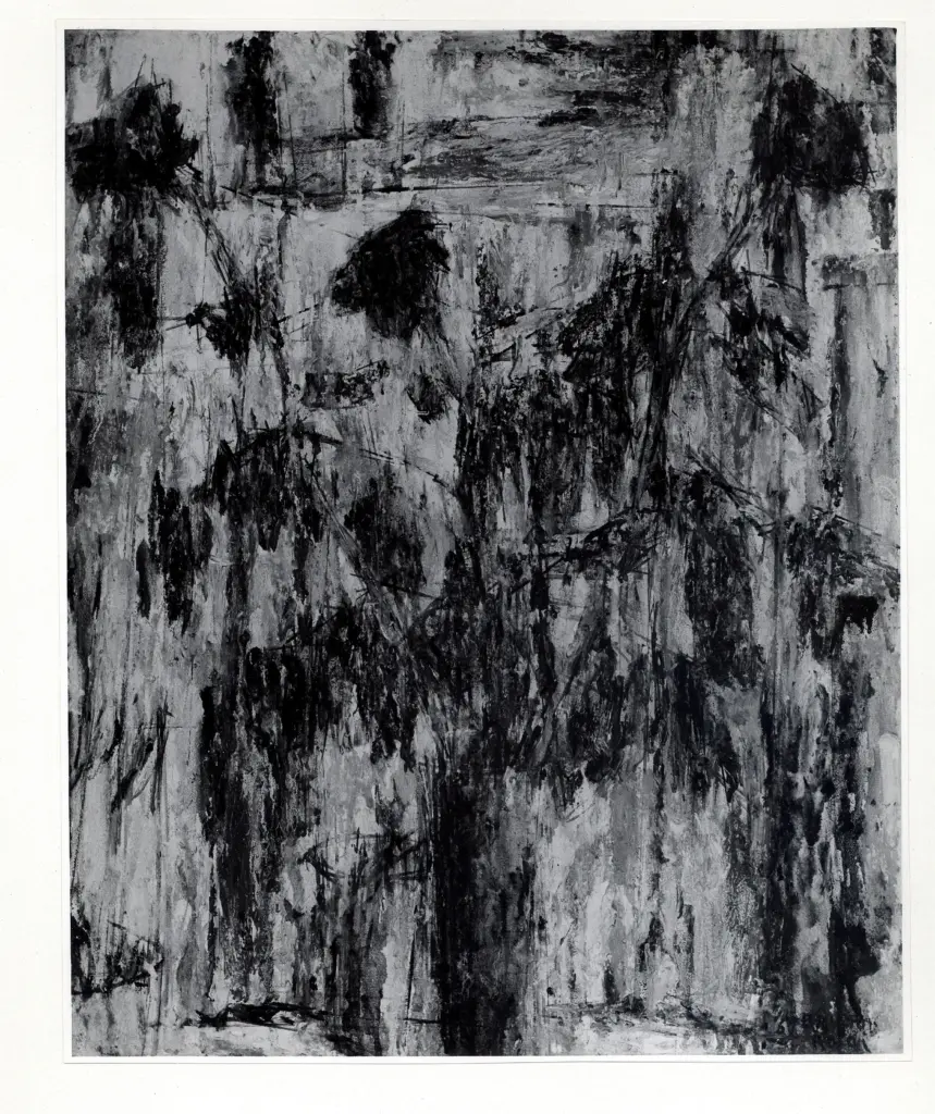 Anonimo, Anonimo , fronte