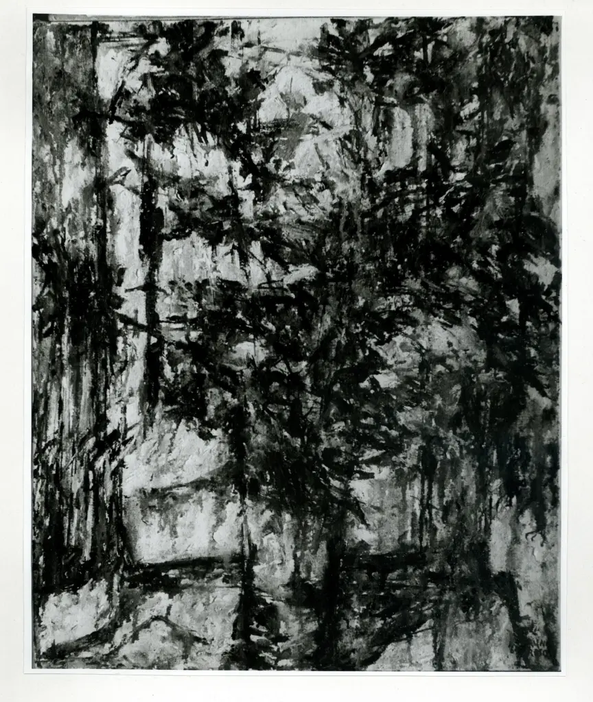 Anonimo, Anonimo , fronte