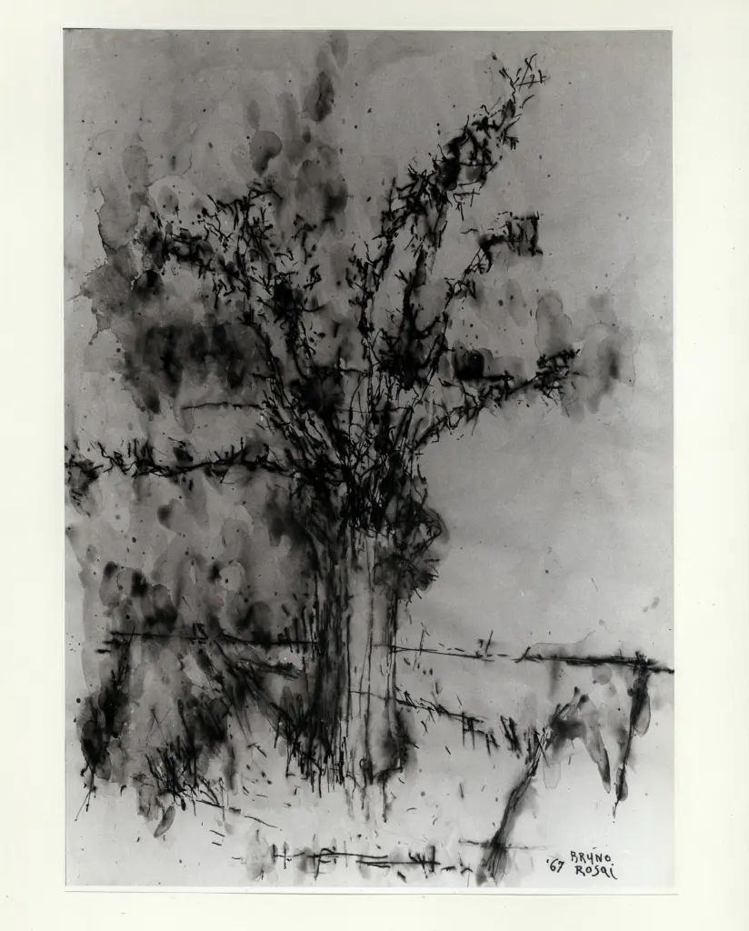 Anonimo, Anonimo , fronte