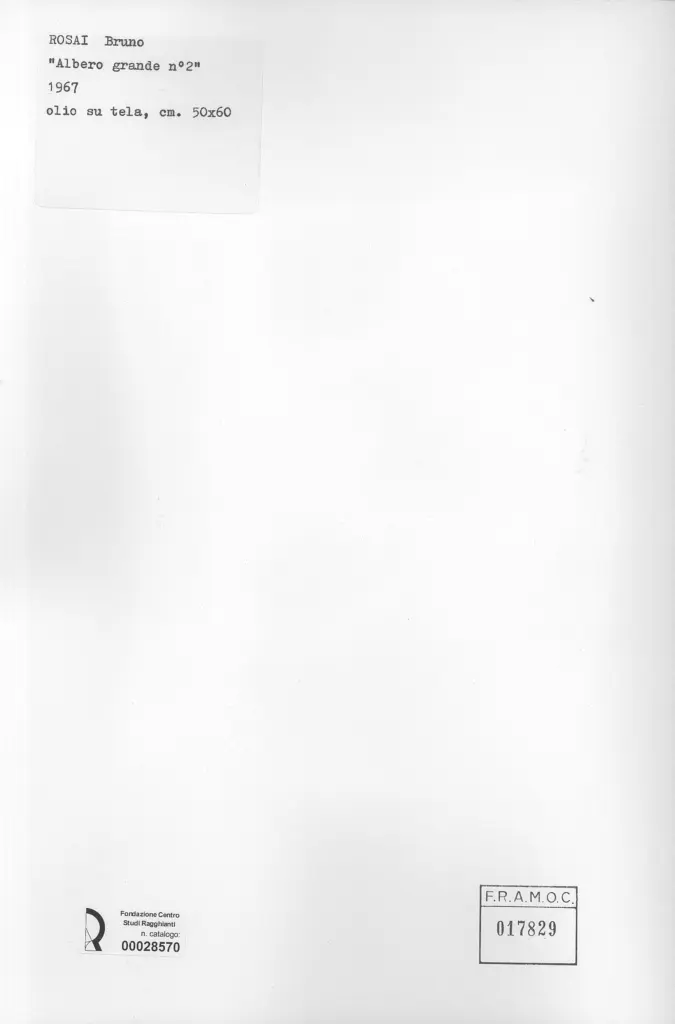 Anonimo, Anonimo , retro