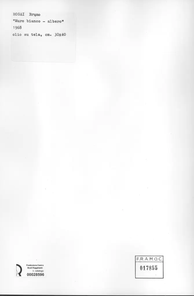 Anonimo, Anonimo , retro