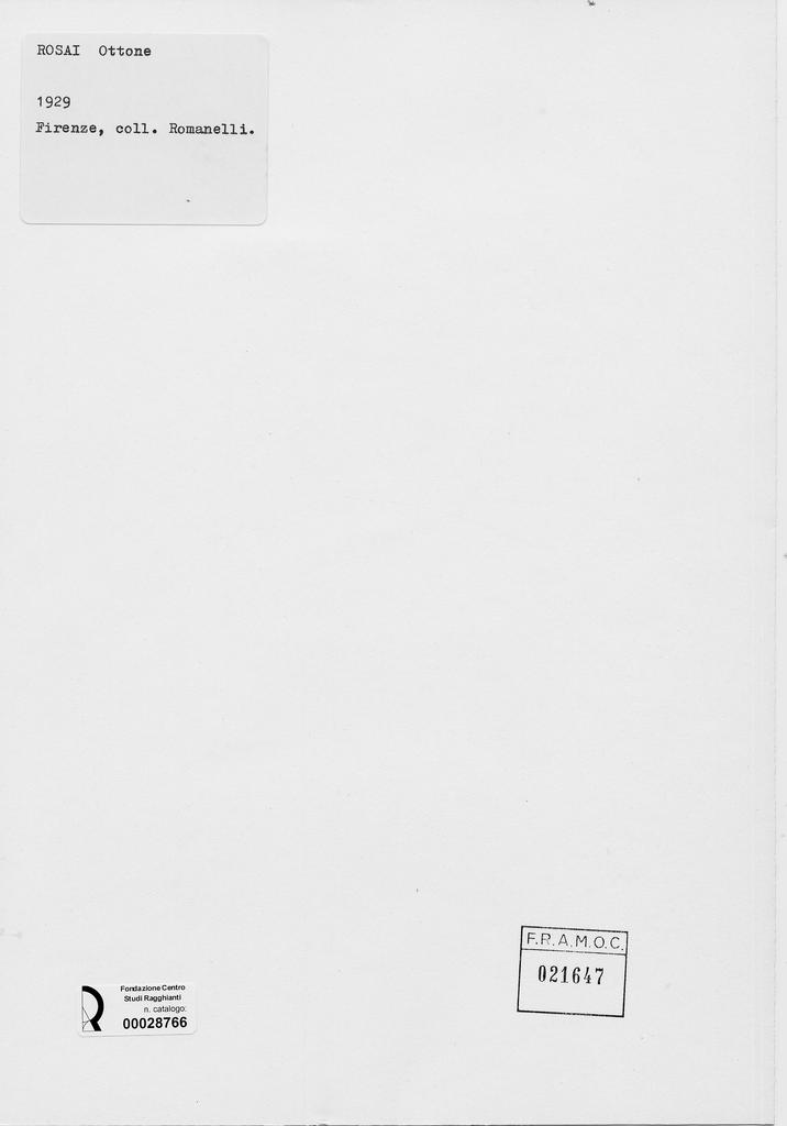 Foto Barsotti , Rosai, Ottone - sec. XX - , retro