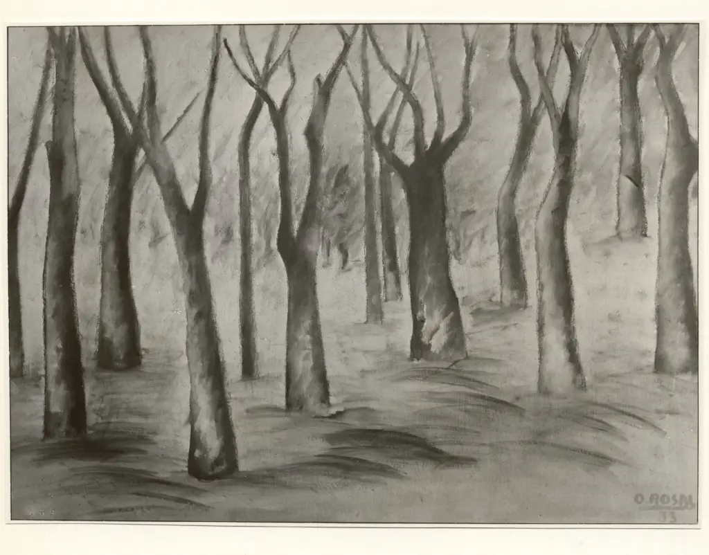 Anonimo, Anonimo , fronte