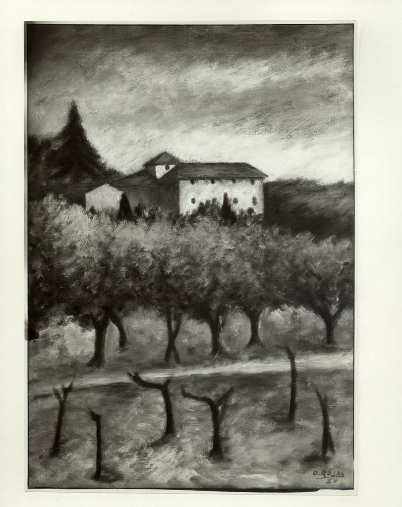 Foto Barsotti , fronte