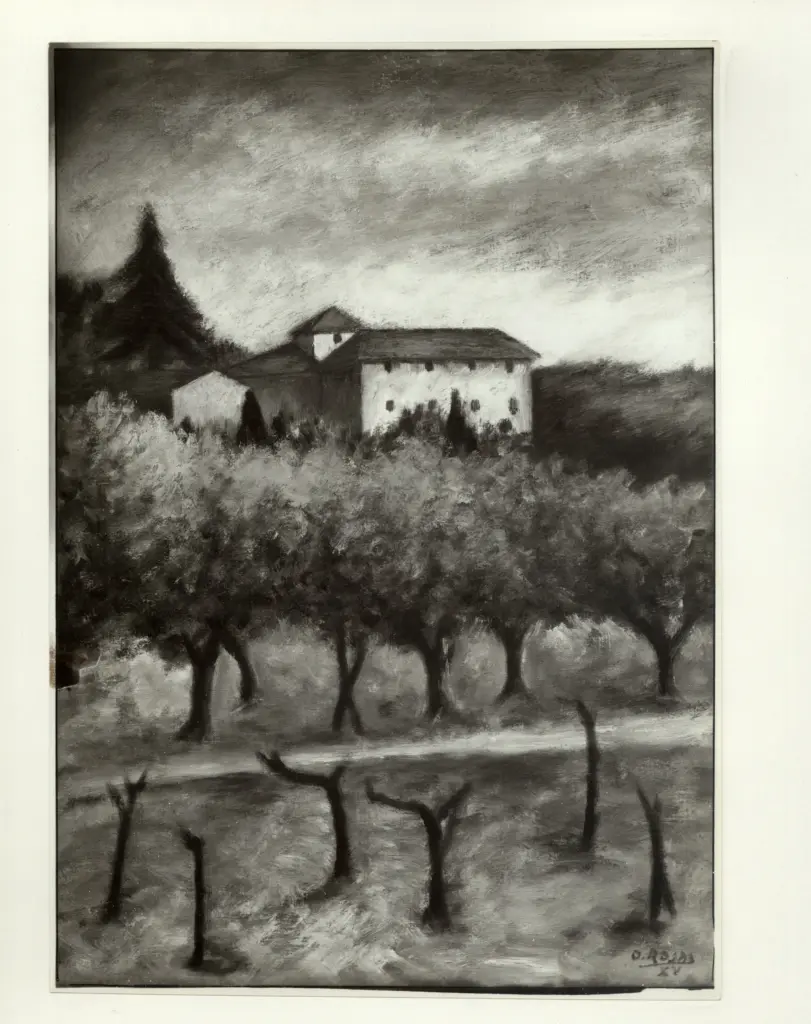 Foto Barsotti , fronte