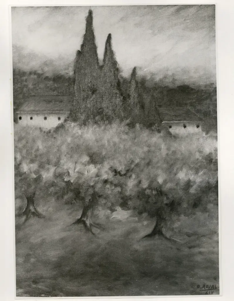 Anonimo, Anonimo , fronte